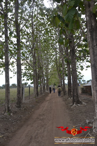 afotorm